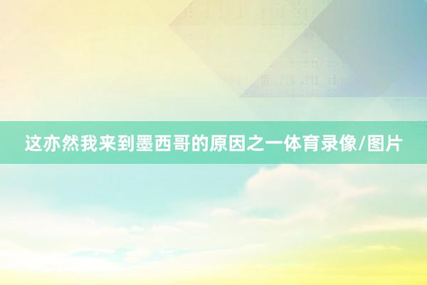 这亦然我来到墨西哥的原因之一体育录像/图片