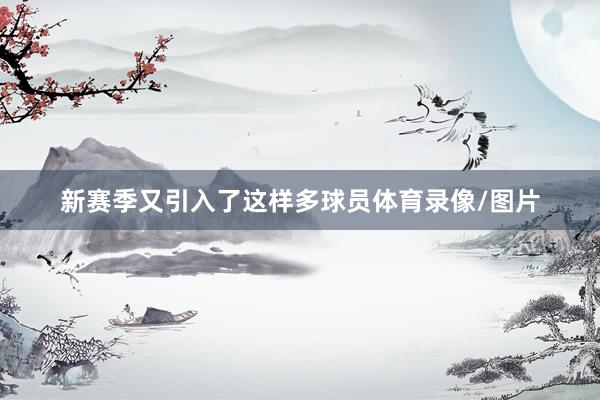 新赛季又引入了这样多球员体育录像/图片