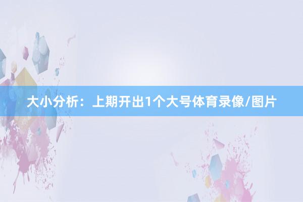 大小分析:上期开出1个大号体育录像/图片