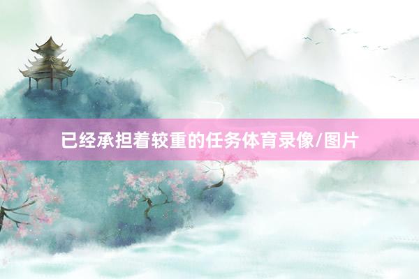 已经承担着较重的任务体育录像/图片