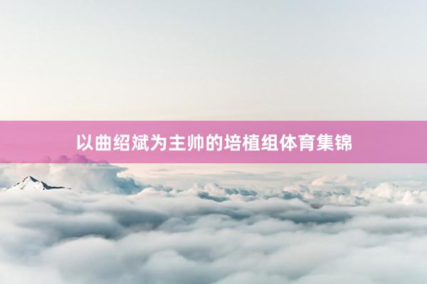 以曲绍斌为主帅的培植组体育集锦