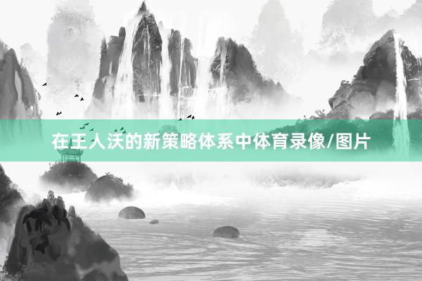 在王人沃的新策略体系中体育录像/图片