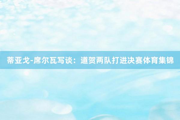蒂亚戈-席尔瓦写谈：道贺两队打进决赛体育集锦