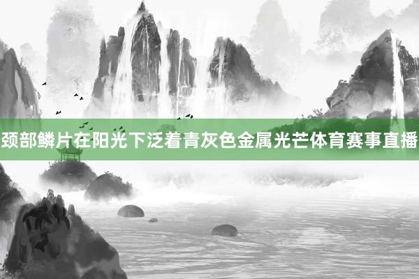 颈部鳞片在阳光下泛着青灰色金属光芒体育赛事直播
