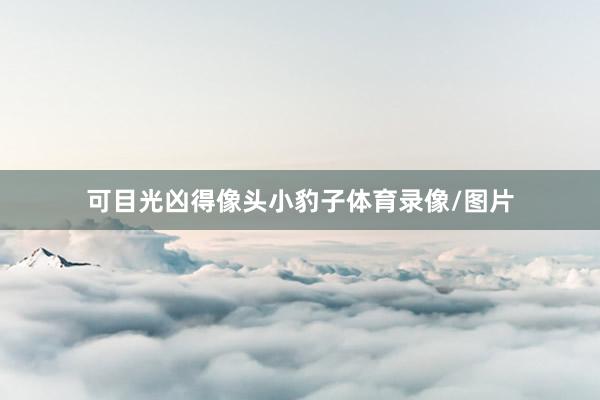 可目光凶得像头小豹子体育录像/图片