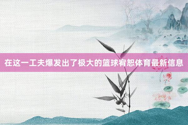 在这一工夫爆发出了极大的篮球宥恕体育最新信息