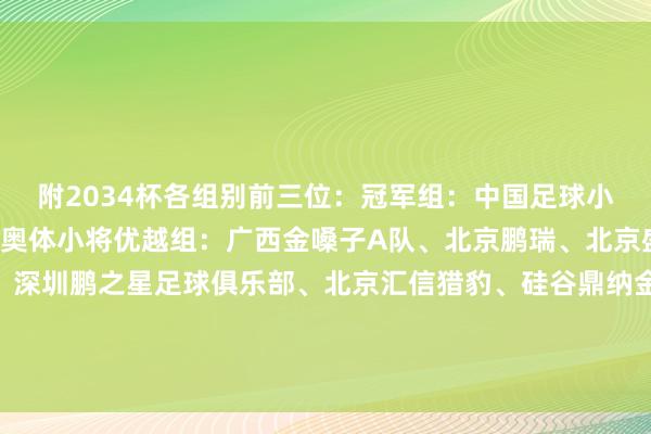 附2034杯各组别前三位：冠军组：中国足球小将、北京梦之队、
