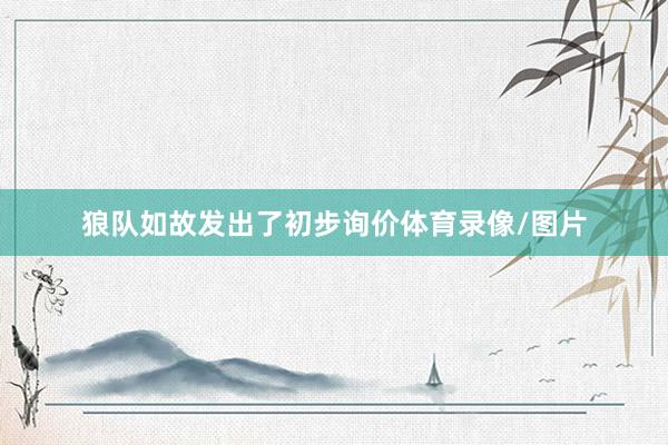 狼队如故发出了初步询价体育录像/图片