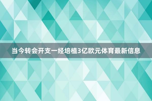 当今转会开支一经培植3亿欧元体育最新信息