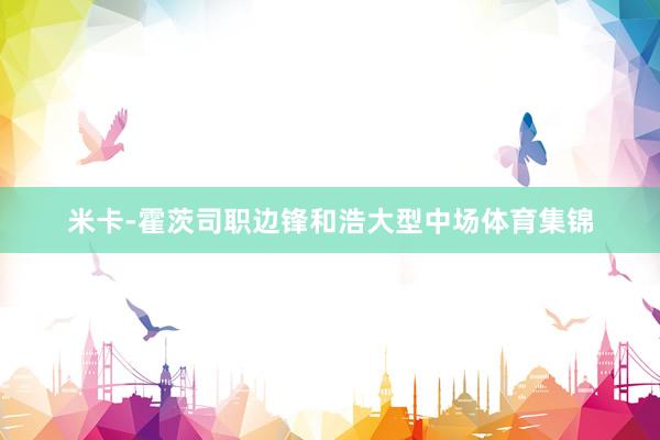 米卡-霍茨司职边锋和浩大型中场体育集锦