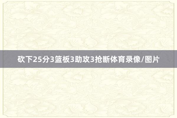 砍下25分3篮板3助攻3抢断体育录像/图片
